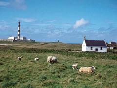 129 ILE DE OUESSANT_000029